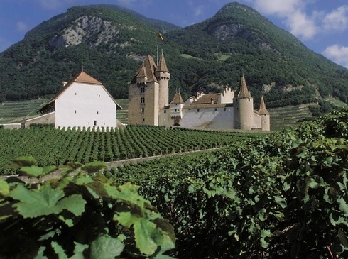 Castle and vineyard in Aigle.