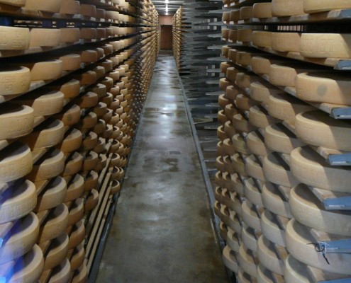 Swiss cheeses in cheese factory in Gruy?res.