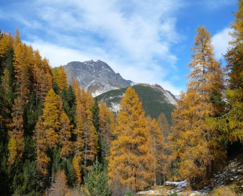 Val Tavrü, Schweizerischer Nationalpark, Graubünden