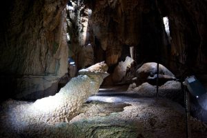 Die Höhlen in Baar. Eine Felsformation genannt Krokodil.